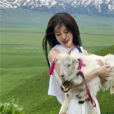 破产姐妹第六季